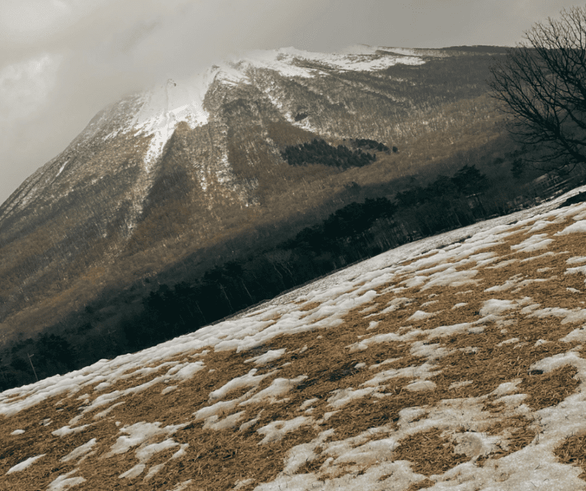 MONTE DAISEN