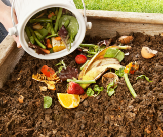 Benefícios da Compostagem