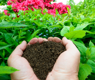 Benefícios da compostagem