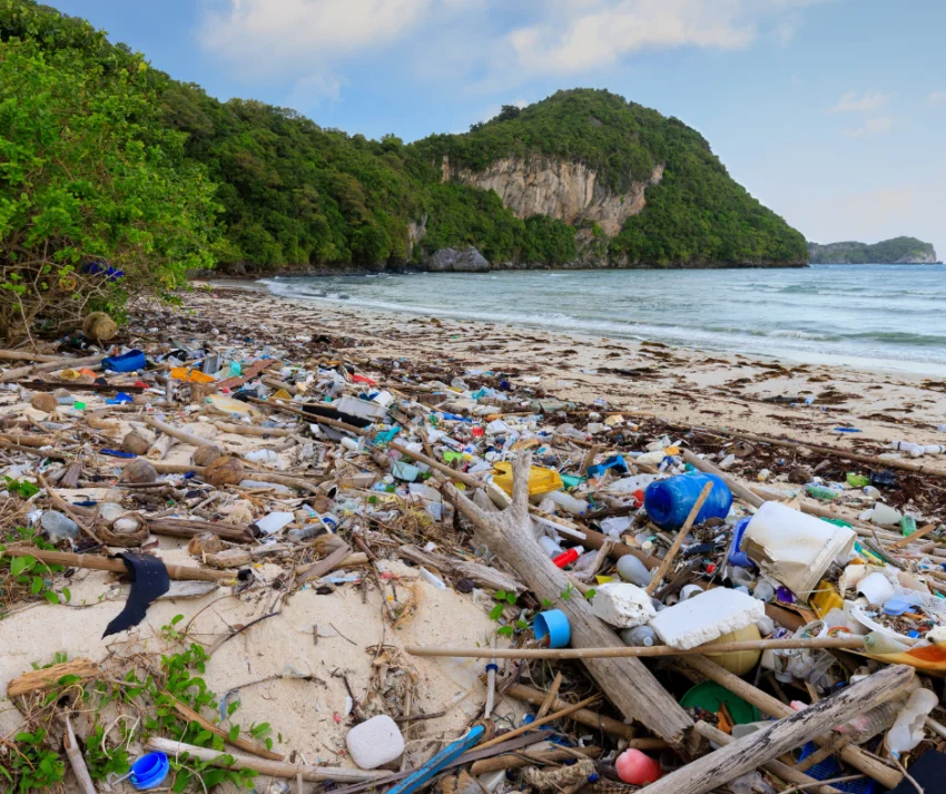 Impacto Ambiental do Plástico na Natureza