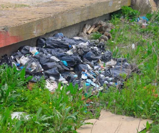 Impacto Ambiental do Plástico na Natureza
