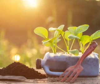 Impacto Ambiental do Plástico na Natureza