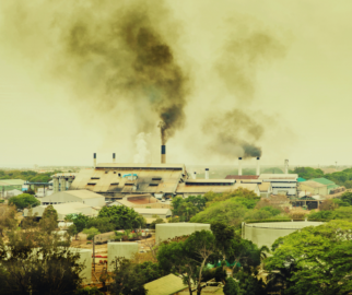 Poluição do Ar na Saúde Humana e no Meio Ambiente