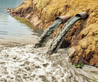 MidoriEcologia Os Impactos da Poluição do Ar na Saúde Humana e no Meio Ambiente